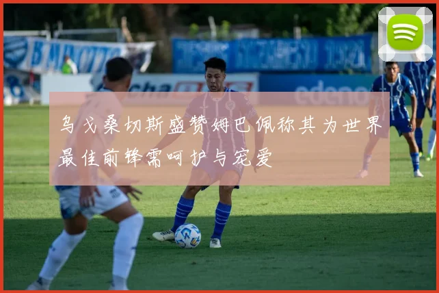 乌戈桑切斯盛赞姆巴佩称其为世界最佳前锋需呵护与宠爱